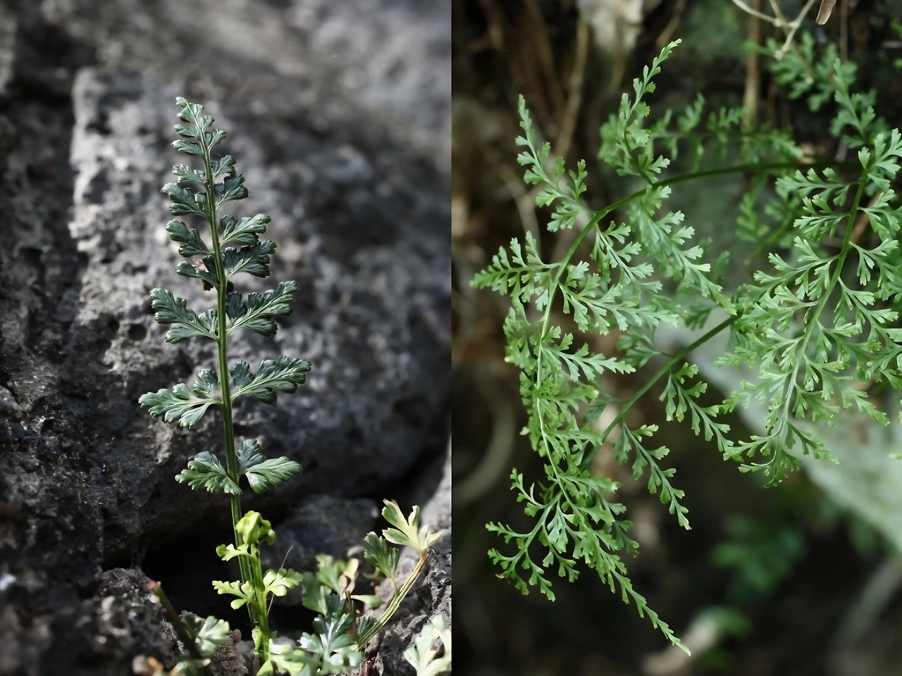 tfile.jpg?credential=yqXZFxpELC7KVnFOS48ylbz2pIh7yKj8&expires=1769871599&allow_ip=&allow_referer=&signature=CnJWMGwCElisMnvI6Xy9jDlCwi4%3D