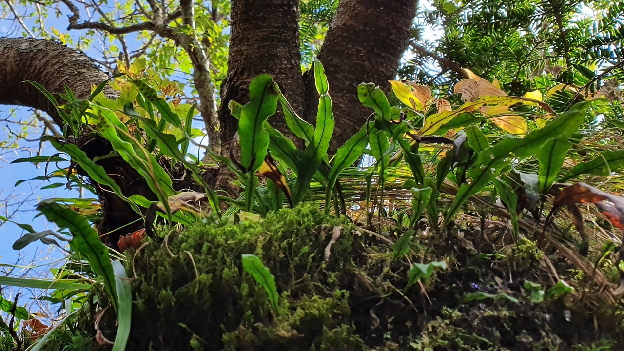 img.png?credential=yqXZFxpELC7KVnFOS48ylbz2pIh7yKj8&expires=1764514799&allow_ip=&allow_referer=&signature=SNb1BFbN80G3TvZ%2B9fRnmAqb4gI%3D