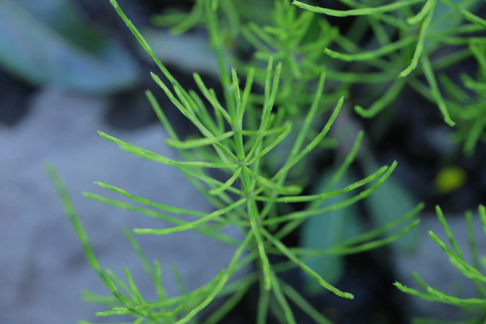 img.jpg?credential=yqXZFxpELC7KVnFOS48ylbz2pIh7yKj8&expires=1761922799&allow_ip=&allow_referer=&signature=EUjHPGCzUDTLyHXNvgvbvwqgwOU%3D