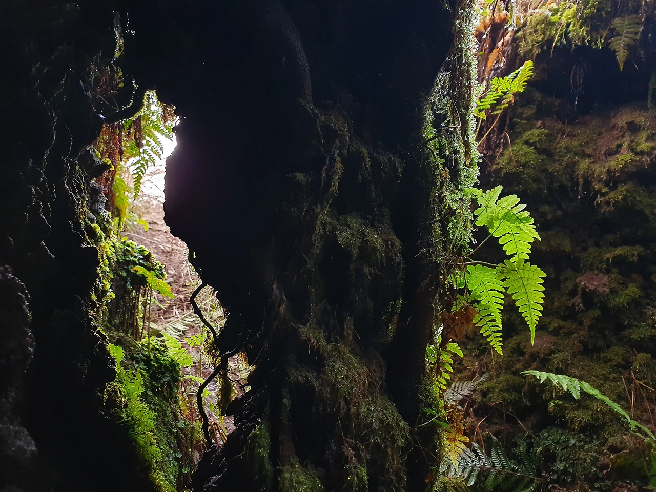 img.jpg?credential=yqXZFxpELC7KVnFOS48ylbz2pIh7yKj8&expires=1769871599&allow_ip=&allow_referer=&signature=aT8jCtxE%2FTw5yNlQWz8dL3wfyUk%3D