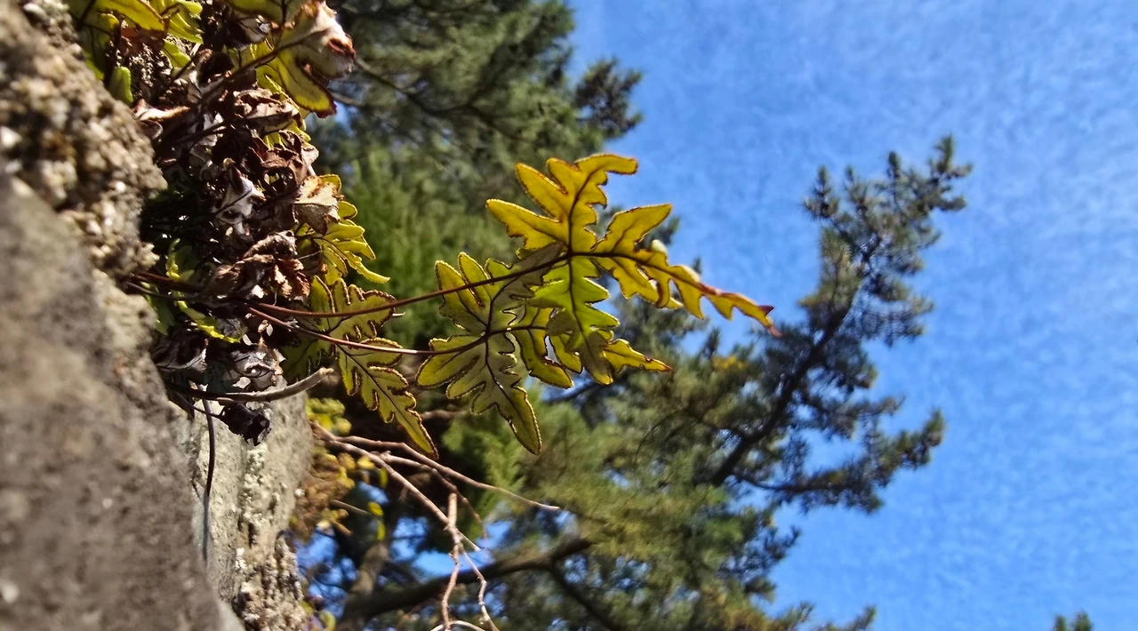 tfile.jpg?credential=yqXZFxpELC7KVnFOS48ylbz2pIh7yKj8&expires=1759244399&allow_ip=&allow_referer=&signature=AYULIWVrajjrvNNjYjZq%2B28TUog%3D