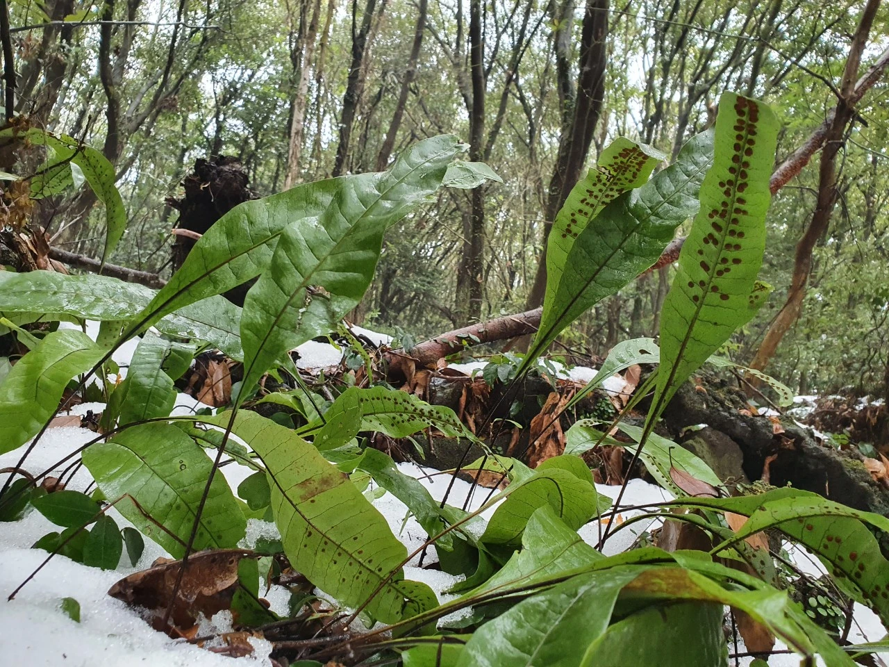 img.jpg?credential=yqXZFxpELC7KVnFOS48ylbz2pIh7yKj8&expires=1769871599&allow_ip=&allow_referer=&signature=gEbPOxkQpZvg%2Bob2e0ik%2BgPRiJo%3D