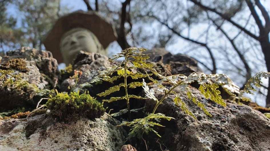 img.jpg?credential=yqXZFxpELC7KVnFOS48ylbz2pIh7yKj8&expires=1769871599&allow_ip=&allow_referer=&signature=1scw6wI8h47ljAfJXBndXzENnlw%3D