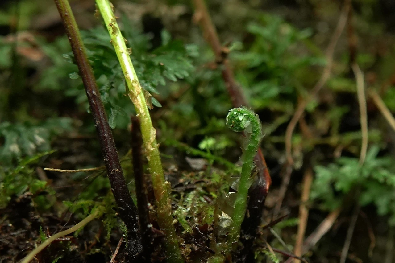 img.jpg?credential=yqXZFxpELC7KVnFOS48ylbz2pIh7yKj8&expires=1769871599&allow_ip=&allow_referer=&signature=3n%2FhOhsP2hBmyBOvxm%2B3oLISYuE%3D