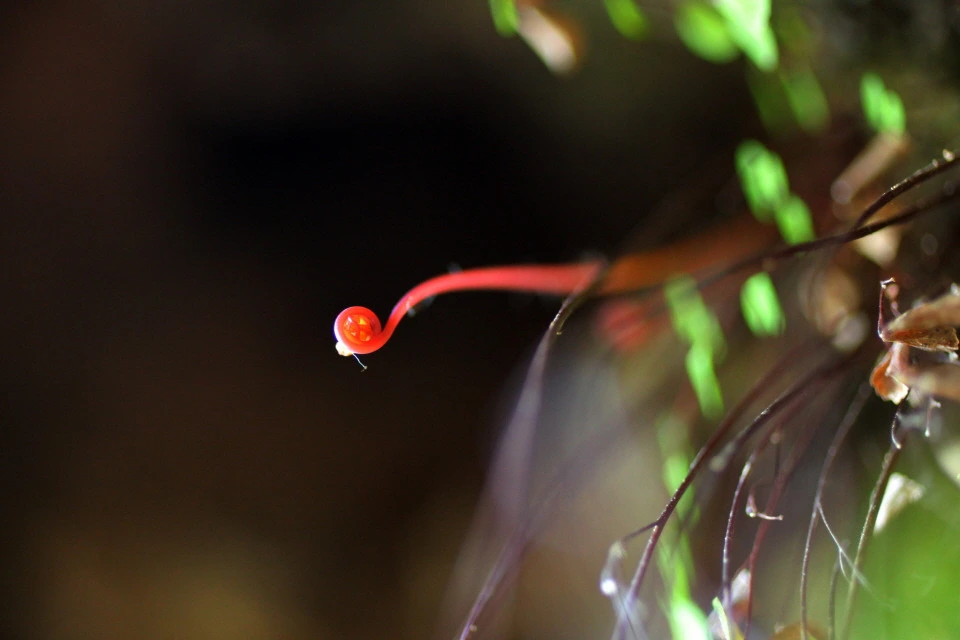 img.jpg?credential=yqXZFxpELC7KVnFOS48ylbz2pIh7yKj8&expires=1767193199&allow_ip=&allow_referer=&signature=Z7WFIwjQdalkk2dzJQ2v3IURh9s%3D