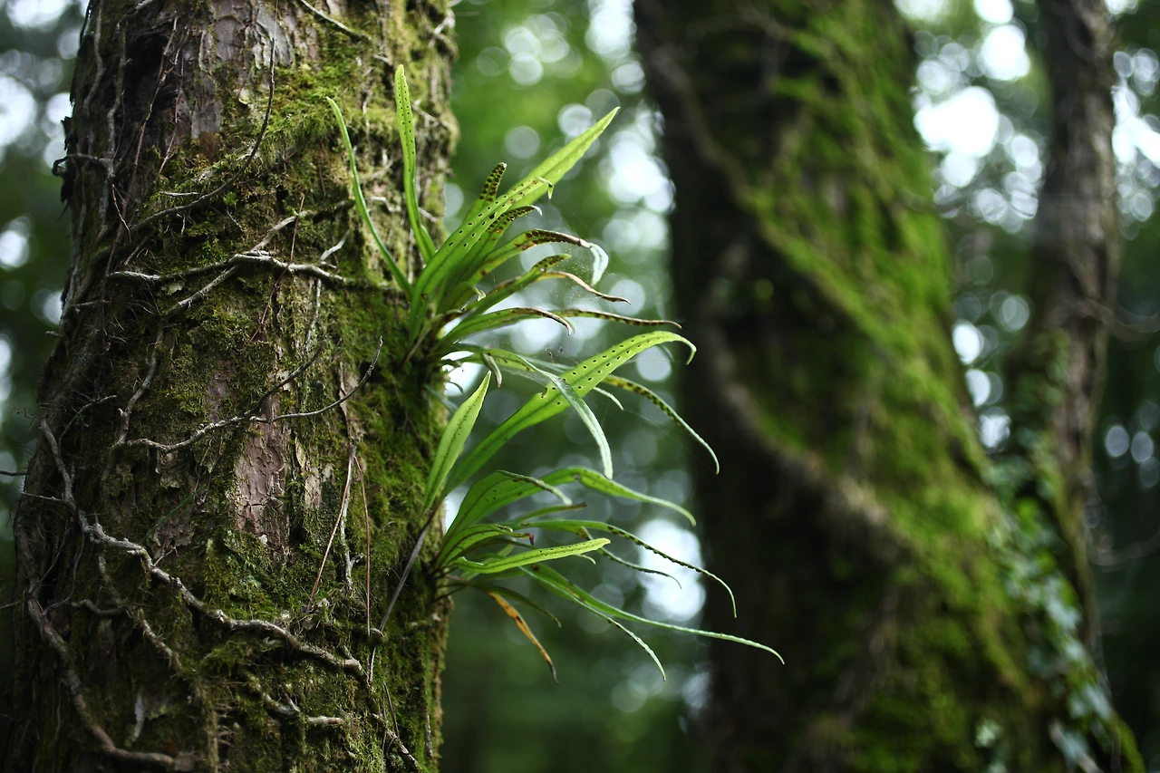 img.jpg?credential=yqXZFxpELC7KVnFOS48ylbz2pIh7yKj8&expires=1764514799&allow_ip=&allow_referer=&signature=kFdnXYZ7YOdFF9SSPzO23kWtZvE%3D