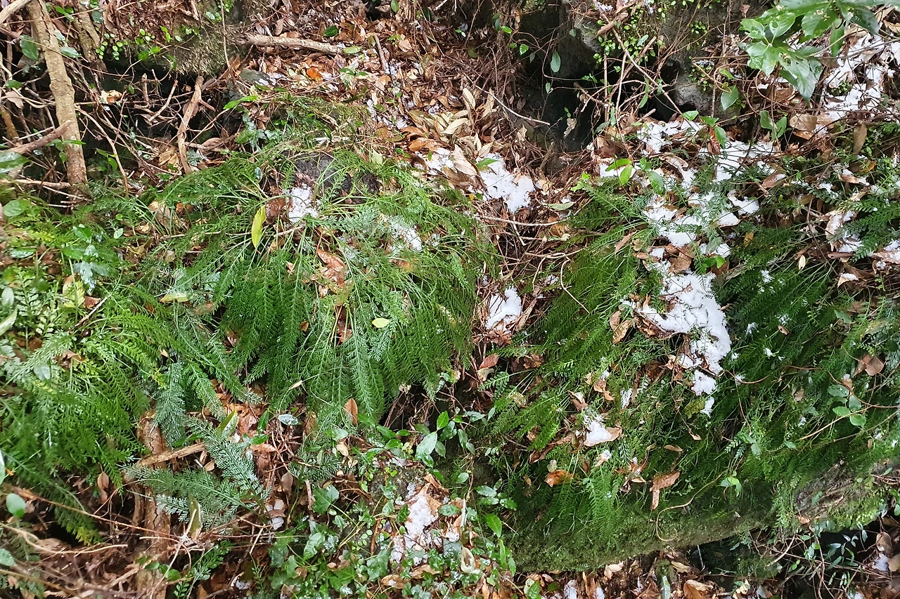 img.jpg?credential=yqXZFxpELC7KVnFOS48ylbz2pIh7yKj8&expires=1756652399&allow_ip=&allow_referer=&signature=kFI2GwdXLmIrvIKakXL4GSys5X8%3D