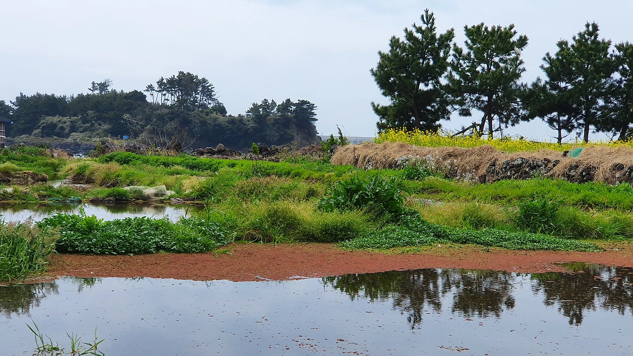 img.jpg?credential=yqXZFxpELC7KVnFOS48ylbz2pIh7yKj8&expires=1764514799&allow_ip=&allow_referer=&signature=BEw5Xkb1RHQ%2BSM75QWoGYTBihto%3D