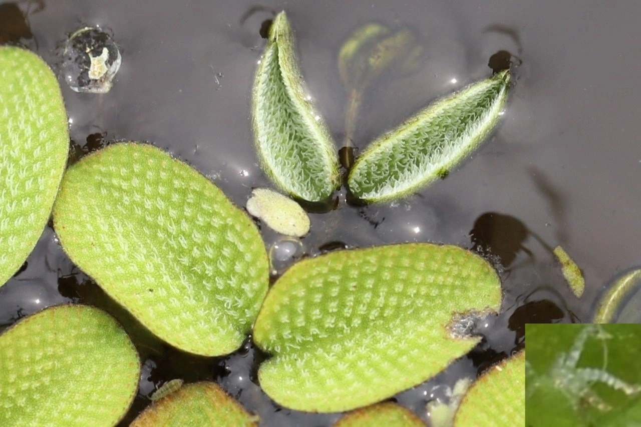 tfile.jpg?credential=yqXZFxpELC7KVnFOS48ylbz2pIh7yKj8&expires=1764514799&allow_ip=&allow_referer=&signature=fCRUPekwowqjAnQRB1QaSBgHlTU%3D