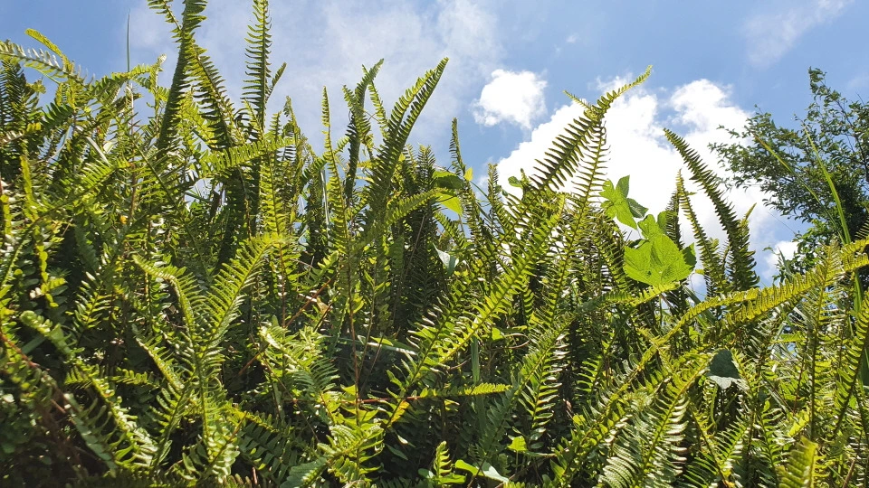 img.jpg?credential=yqXZFxpELC7KVnFOS48ylbz2pIh7yKj8&expires=1756652399&allow_ip=&allow_referer=&signature=EhvbGfvjGtXGmAn%2B5ZaMh%2FILN94%3D