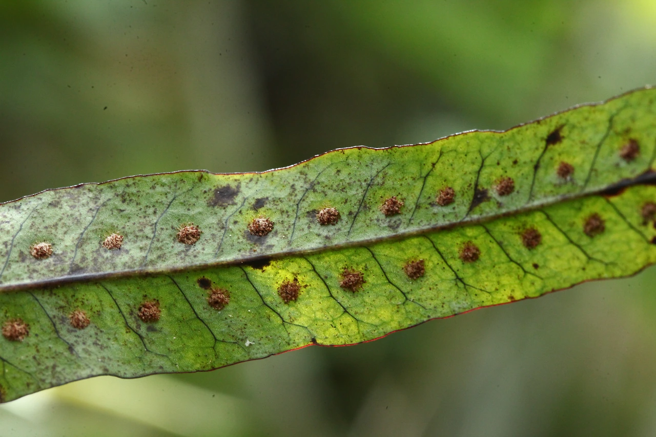 img.jpg?credential=yqXZFxpELC7KVnFOS48ylbz2pIh7yKj8&expires=1767193199&allow_ip=&allow_referer=&signature=1XgDgMepoDKKEZBTRJdg7oGVo7k%3D