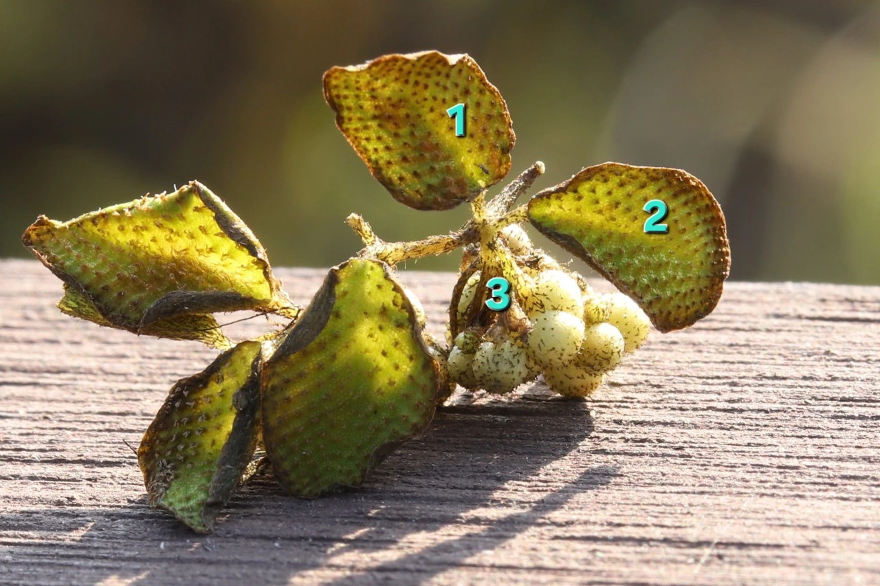 tfile.jpg?credential=yqXZFxpELC7KVnFOS48ylbz2pIh7yKj8&expires=1764514799&allow_ip=&allow_referer=&signature=ph%2Bi7XhVKuo9ZCzBr7tBwUzeQSU%3D