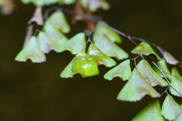 img.png?credential=yqXZFxpELC7KVnFOS48ylbz2pIh7yKj8&expires=1767193199&allow_ip=&allow_referer=&signature=WMkl47SdQLjuHJeFEZmnd6ABvrc%3D