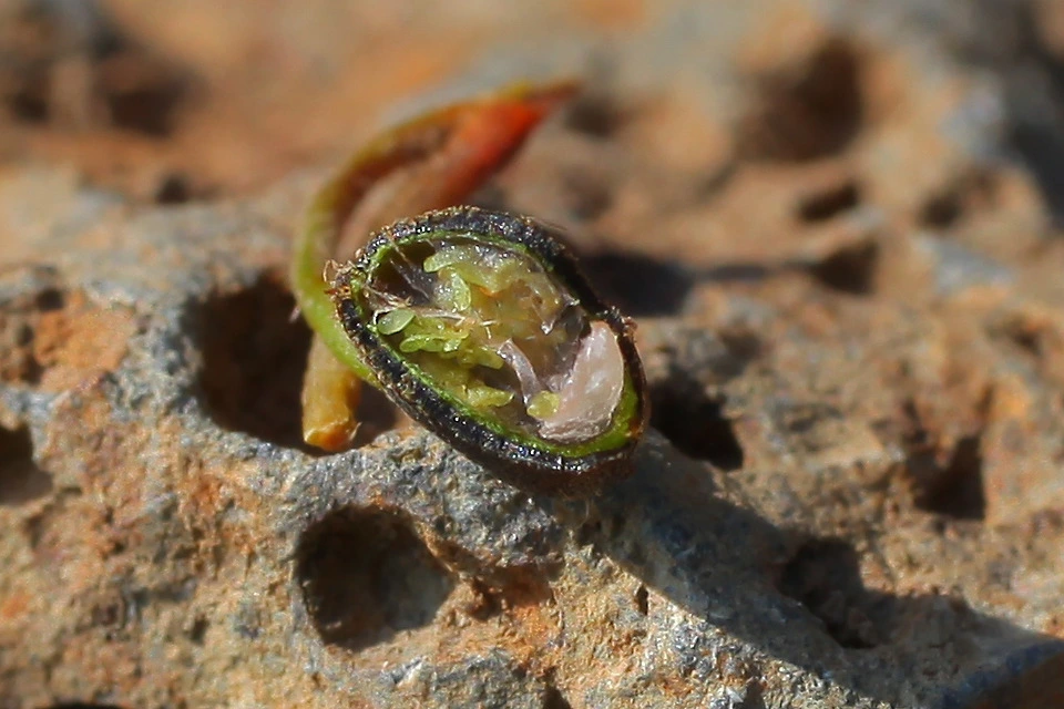 img.jpg?credential=yqXZFxpELC7KVnFOS48ylbz2pIh7yKj8&expires=1750737599&allow_ip=&allow_referer=&signature=GqXyh5pDxQAeD%2Bgy5Xnux88uLF0%3D