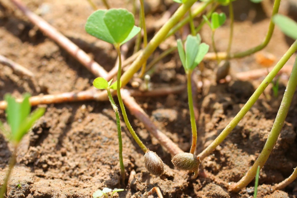 img.jpg?credential=yqXZFxpELC7KVnFOS48ylbz2pIh7yKj8&expires=1750737599&allow_ip=&allow_referer=&signature=IytV%2Fc02g5rc9F%2FSBhaPBhsFaoE%3D