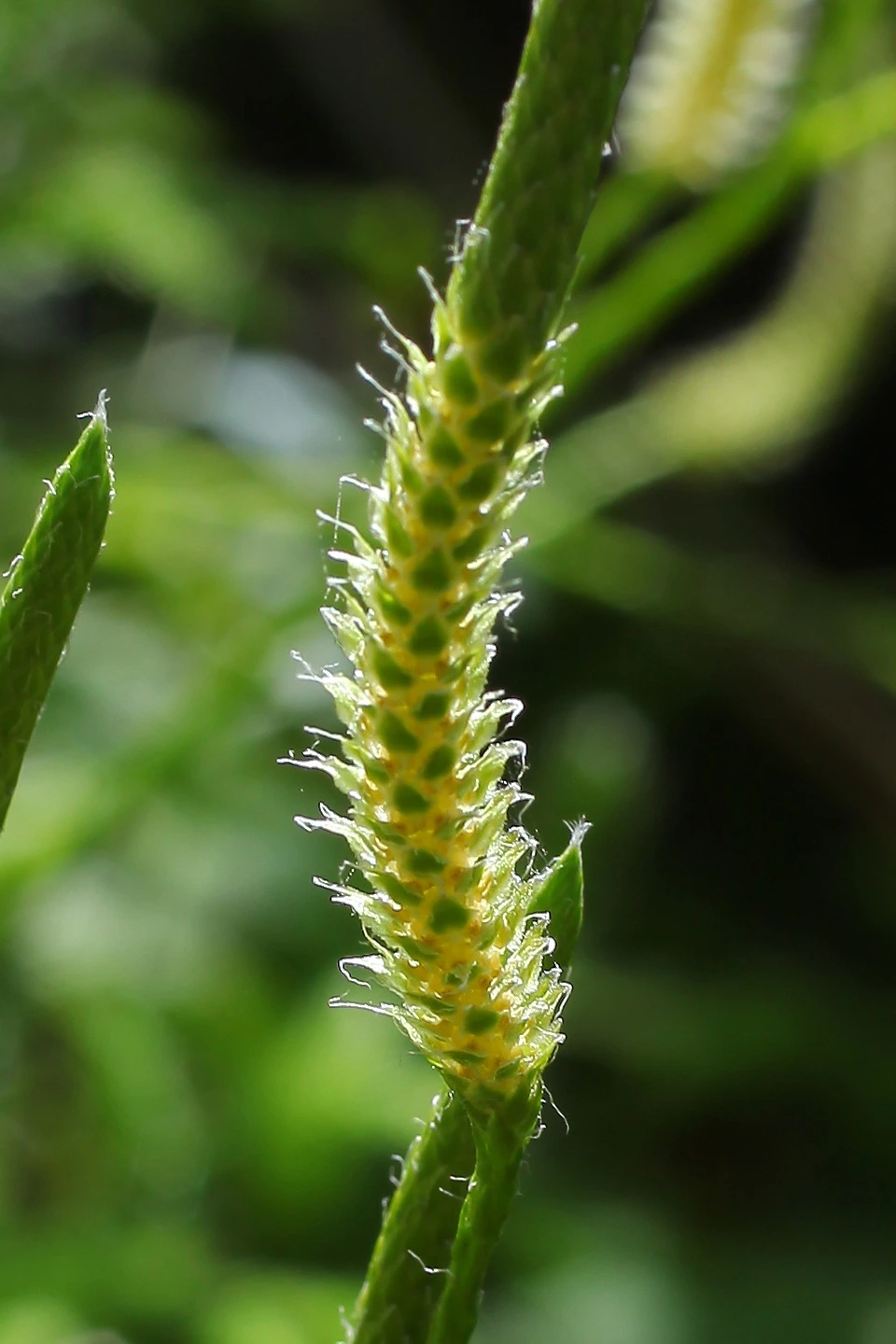 img.jpg?credential=yqXZFxpELC7KVnFOS48ylbz2pIh7yKj8&expires=1761922799&allow_ip=&allow_referer=&signature=7VeHebH%2FNC1l5WN%2FjVkeIYLE%2FLE%3D