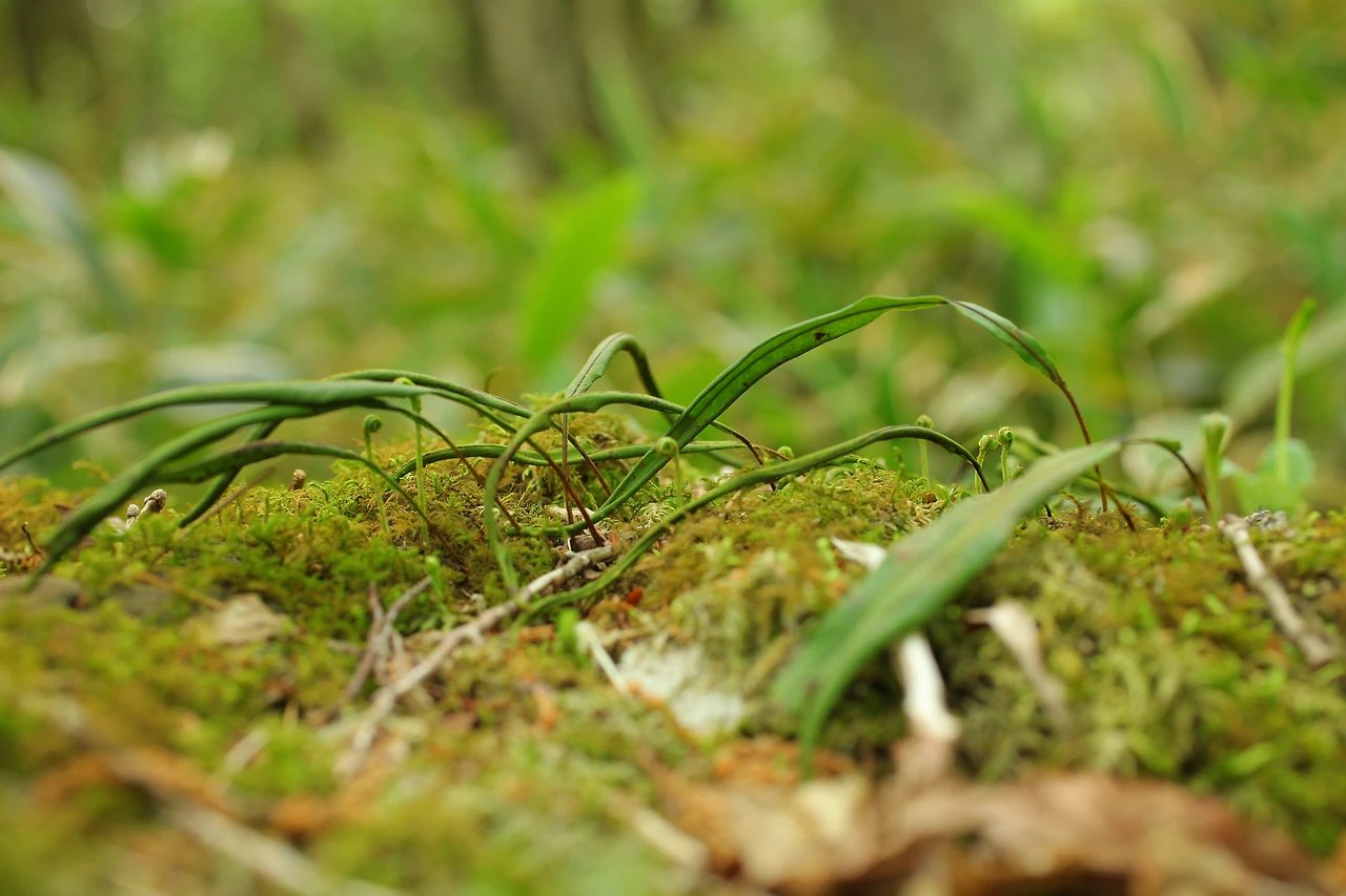 img.jpg?credential=yqXZFxpELC7KVnFOS48ylbz2pIh7yKj8&expires=1764514799&allow_ip=&allow_referer=&signature=XGvHipoAFG%2BC8BYq0eOcX80ZPR4%3D