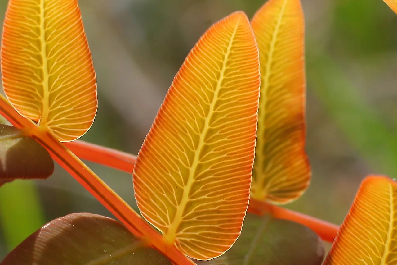 img.jpg?credential=yqXZFxpELC7KVnFOS48ylbz2pIh7yKj8&expires=1753973999&allow_ip=&allow_referer=&signature=7ytk7VvMYeobM84HgmE%2FSzd%2F8S0%3D