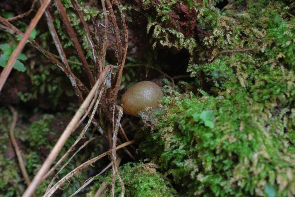 img.jpg?credential=yqXZFxpELC7KVnFOS48ylbz2pIh7yKj8&expires=1756652399&allow_ip=&allow_referer=&signature=c9YBIkSYtadYdKgPPXKSAcynh3k%3D