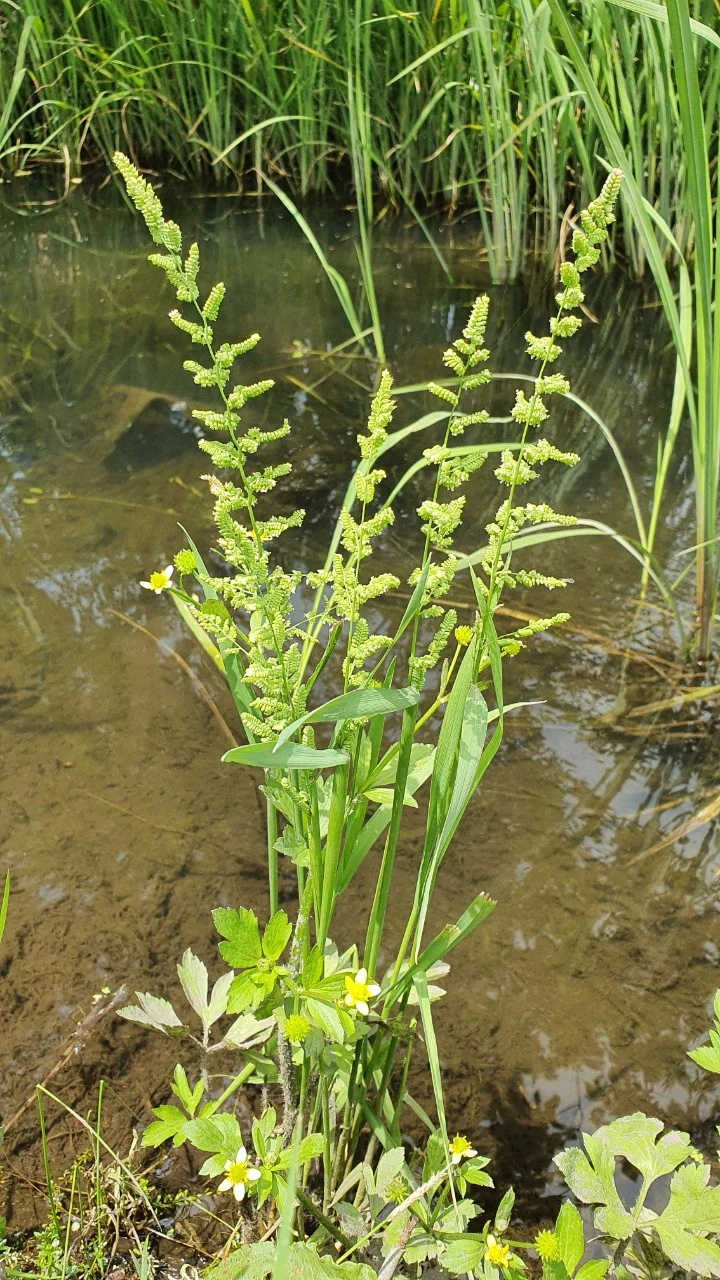 img.jpg?credential=yqXZFxpELC7KVnFOS48ylbz2pIh7yKj8&expires=1764514799&allow_ip=&allow_referer=&signature=0LOpKbKq%2FNFRh%2FOpP9PnkTu%2FTXc%3D