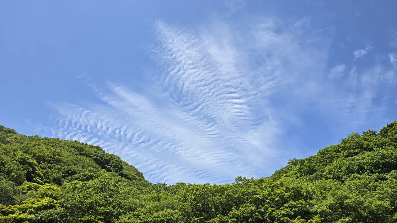 tfile.jpg?credential=yqXZFxpELC7KVnFOS48ylbz2pIh7yKj8&expires=1764514799&allow_ip=&allow_referer=&signature=MoFMHFglEIalnotjCaLa0MXl9Ac%3D