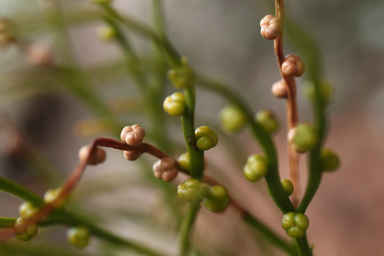 img.jpg?credential=yqXZFxpELC7KVnFOS48ylbz2pIh7yKj8&expires=1753973999&allow_ip=&allow_referer=&signature=9NBSePzGeF0Ld9NCLF97UCR7n5A%3D