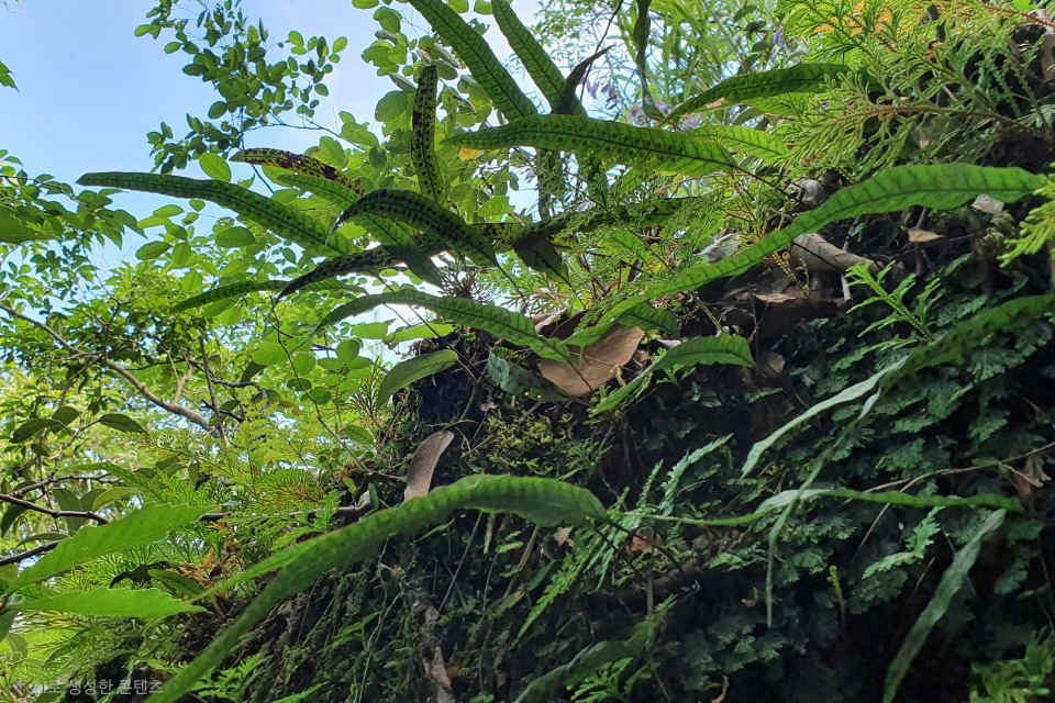 tfile.png?credential=yqXZFxpELC7KVnFOS48ylbz2pIh7yKj8&expires=1767193199&allow_ip=&allow_referer=&signature=4kHrfRNc75QGMNywfWAyePAcFo8%3D