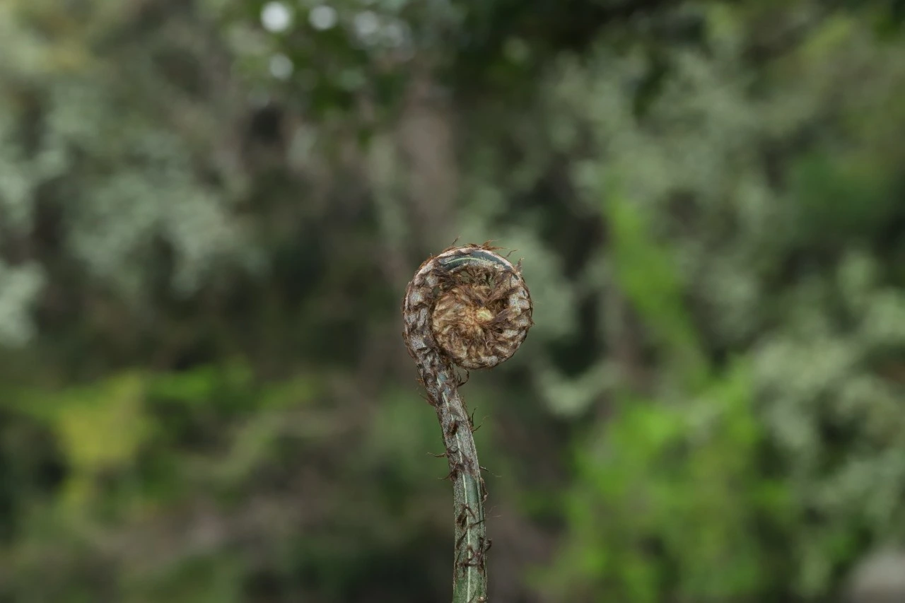 tfile.jpg?credential=yqXZFxpELC7KVnFOS48ylbz2pIh7yKj8&expires=1767193199&allow_ip=&allow_referer=&signature=ieuh2OwMFCYlqcAwPz%2FNgQEq%2FPc%3D