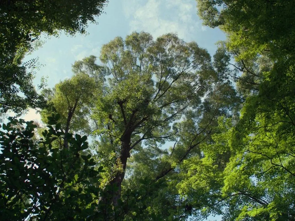 perfect_days_29.jpg?w=1024