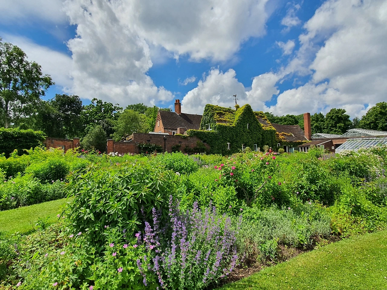 AD_4nXcY5XVEZ5lrQtz7nWwa0Fbj4qba9Egk2IbmrhcCpaan9Z--ia-x0gUezztyJxjgoxO2d8BHM_onDDLniilLXop-lVGHlAMilen1eiBLZkuofIXr0JfUVwKh8NciCwuBHublucHGoaRVSAakerfTJuxeFMrD?key=8eIpDnIQPHeGlPmhwzQJhA