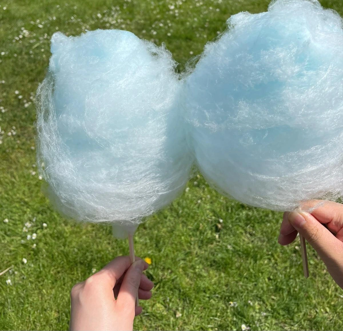 AD_4nXeIElpBWJYWtHU9NrWtk-FEADZHQQr15odgE0H1l2fpQBY2Y6HIfnEvHG28Cm_Z7Dmp2dbHFrWfuETDnXEH3b10beWt0wzvJmexXcpE2atsD8-OwpBuTFZDB2cmcUpV_xjlYnlFESnY91yi3vp0IK0YVTQ?key=8eIpDnIQPHeGlPmhwzQJhA