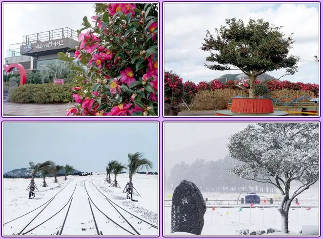 제주도-동쪽-테마파크-제주-레일바이크-액티비티-추천-겨울.JPG