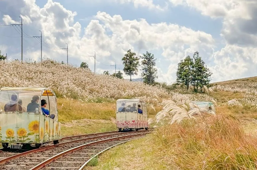 제주도-동쪽-테마파크-제주-레일바이크-액티비티-추천-기차길.JPG
