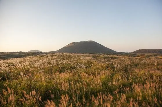 제주도-가을-여행-억새-명소-용눈이오름2.JPG