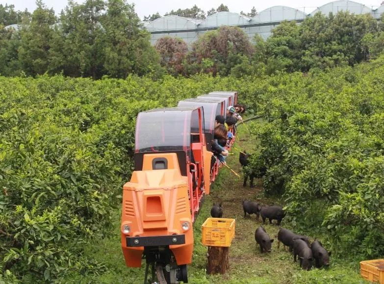 제주도-아이들과-가볼만한-놀거리-모노레일-동물들.JPG