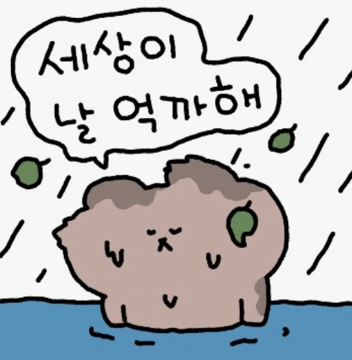 캡처.PNG