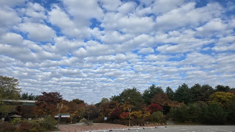 KakaoTalk_20241030_131305954.jpg?type=w773