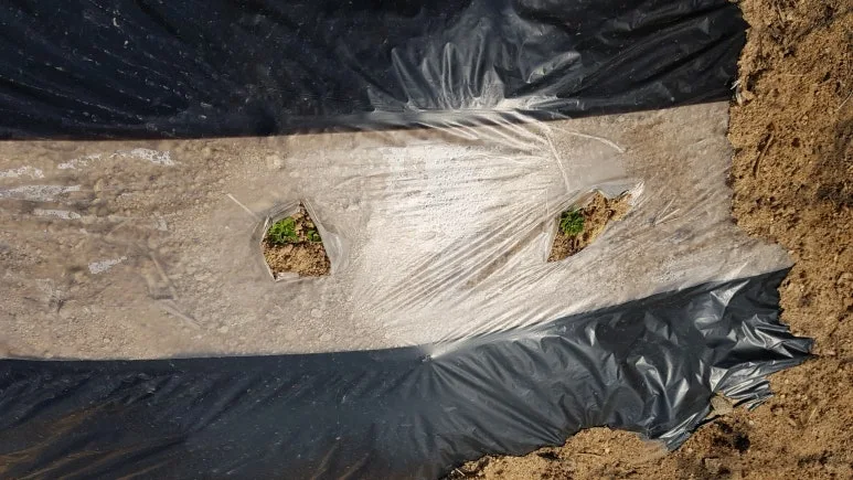 KakaoTalk_20250409_142425223.jpg?type=w773