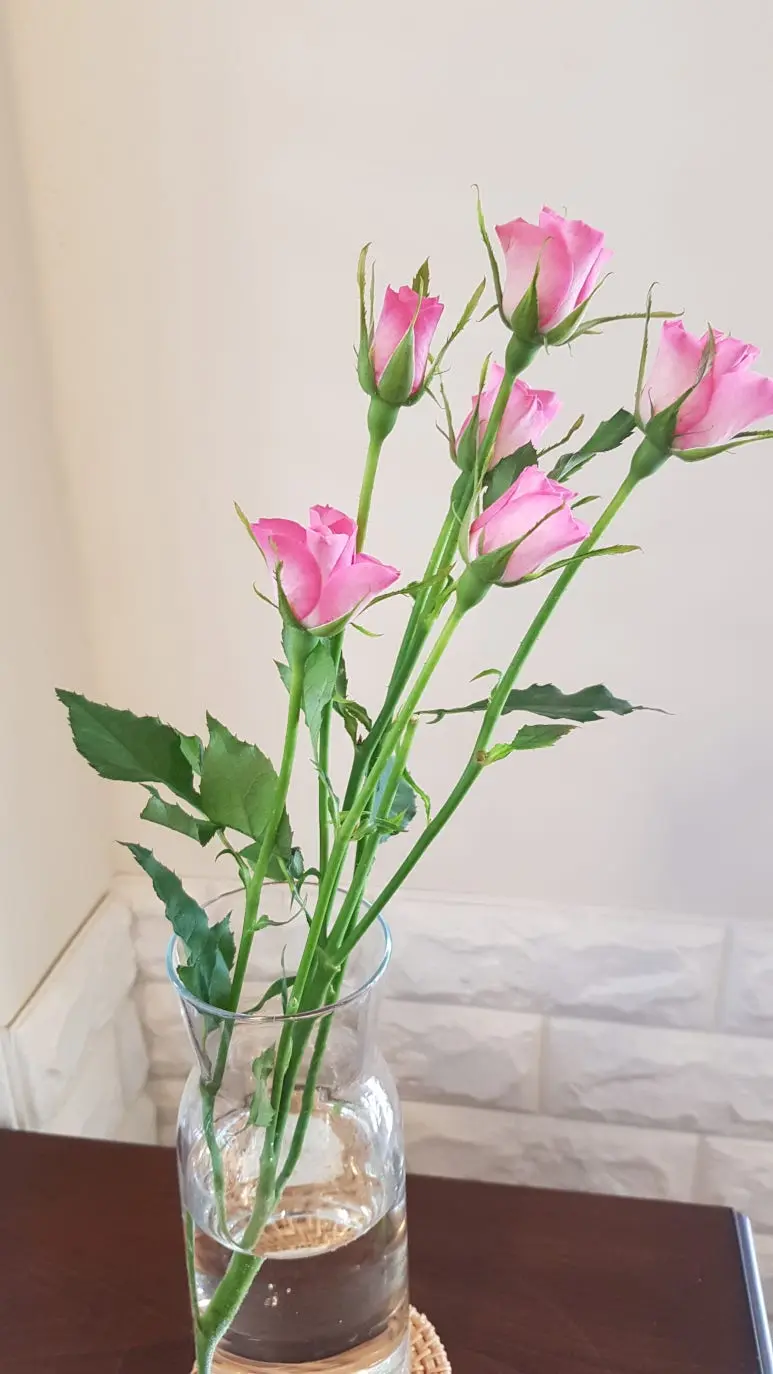 KakaoTalk_20250314_071750571.jpg?type=w773