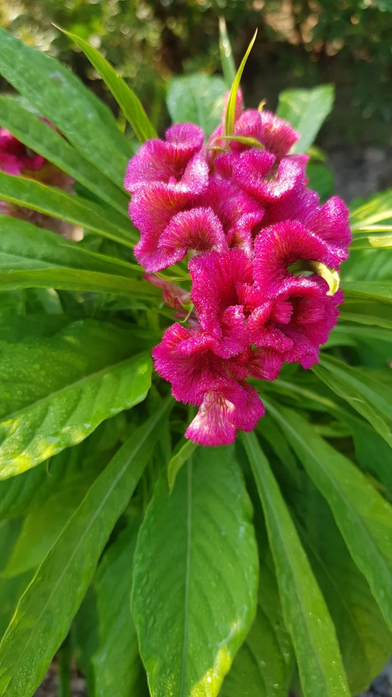 KakaoTalk_20250725_075115400.jpg?type=w773