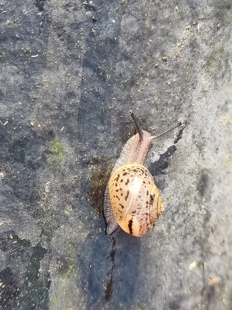 KakaoTalk_20251203_093433761.jpg?type=w773