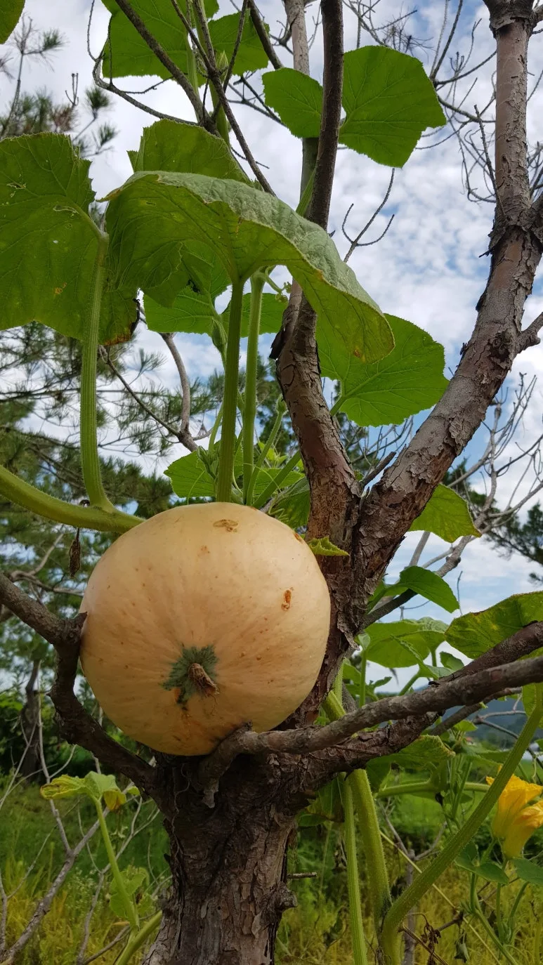 KakaoTalk_20250912_112612888.jpg?type=w773