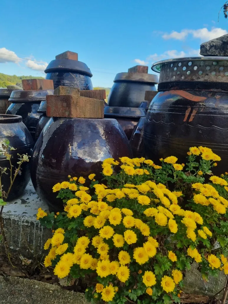 KakaoTalk_20251025_101753374.jpg?type=w773