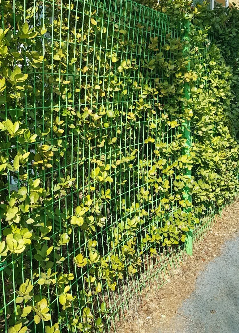 SE-9fd74f0c-6f14-49ce-b060-1eb3098dd7d0.jpg?type=w773