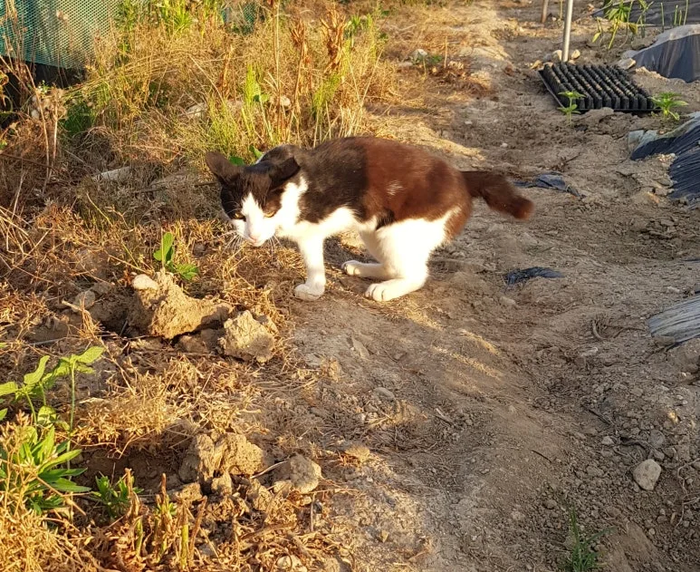 SE-6a3f9992-0676-4d53-b891-d853f3774f37.jpg?type=w773