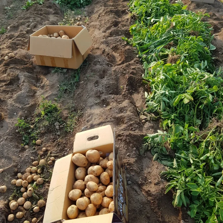 KakaoTalk_20250620_070600902.jpg?type=w773