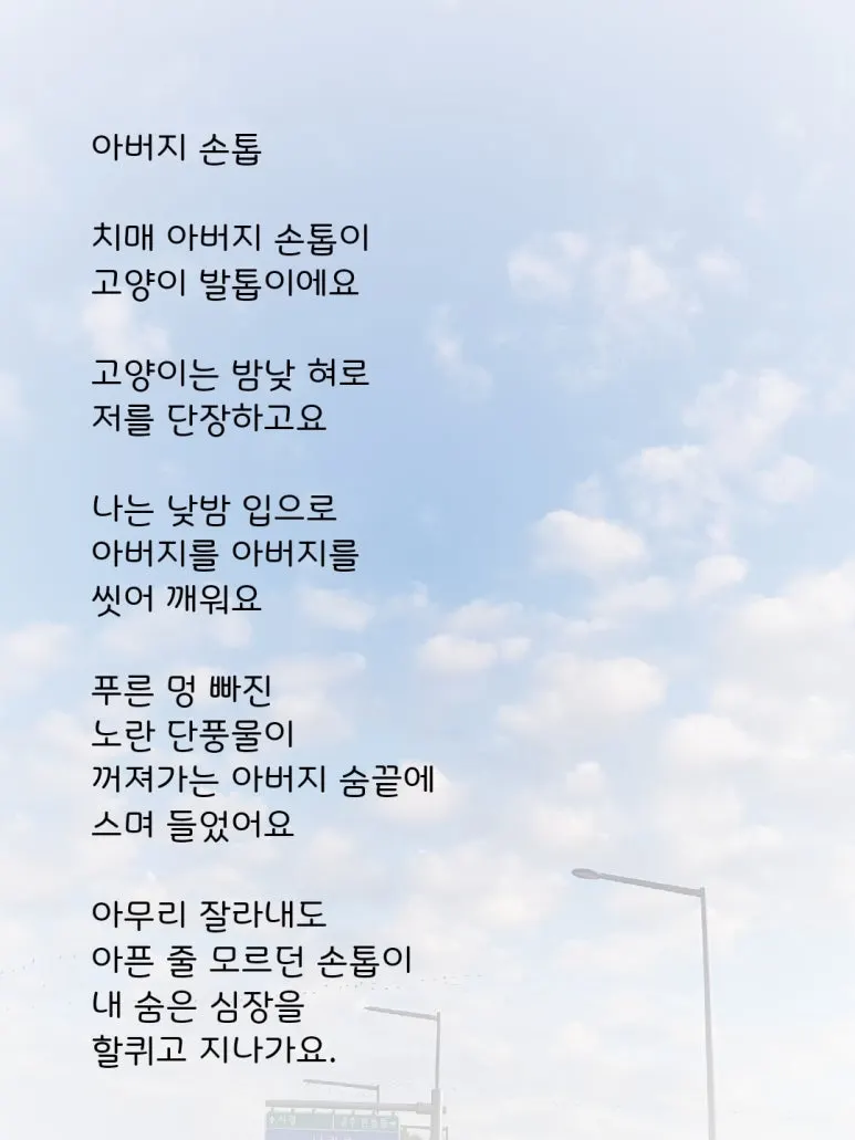 KakaoTalk_20241104_144644787.jpg?type=w773