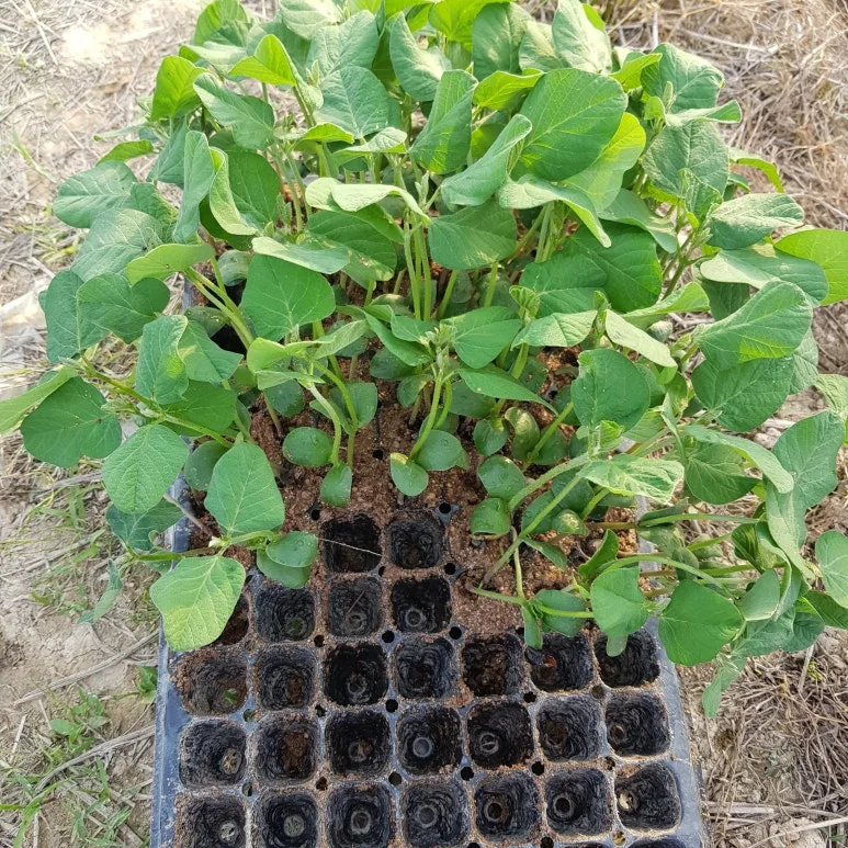 KakaoTalk_20250612_063120262.jpg?type=w773