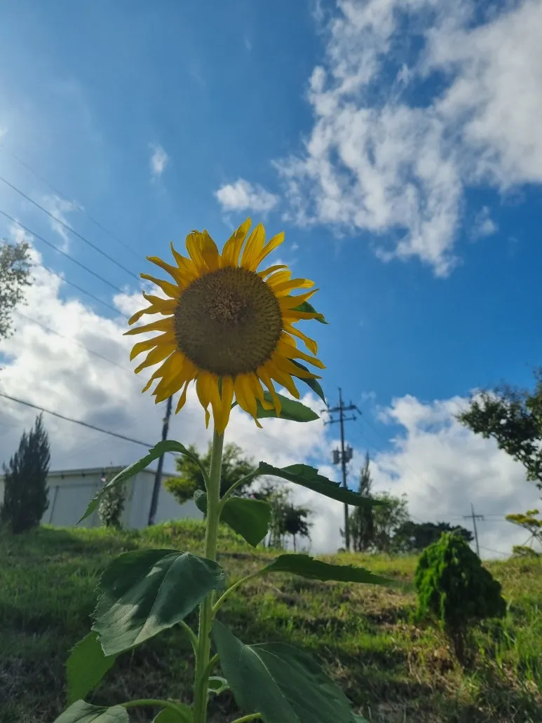 KakaoTalk_20251010_215141365.jpg?type=w773