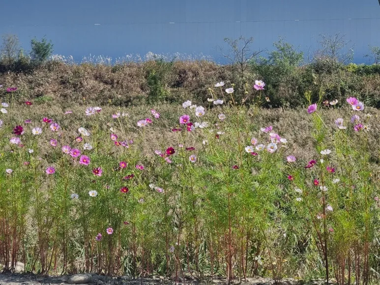 KakaoTalk_20251028_090327559.jpg?type=w773